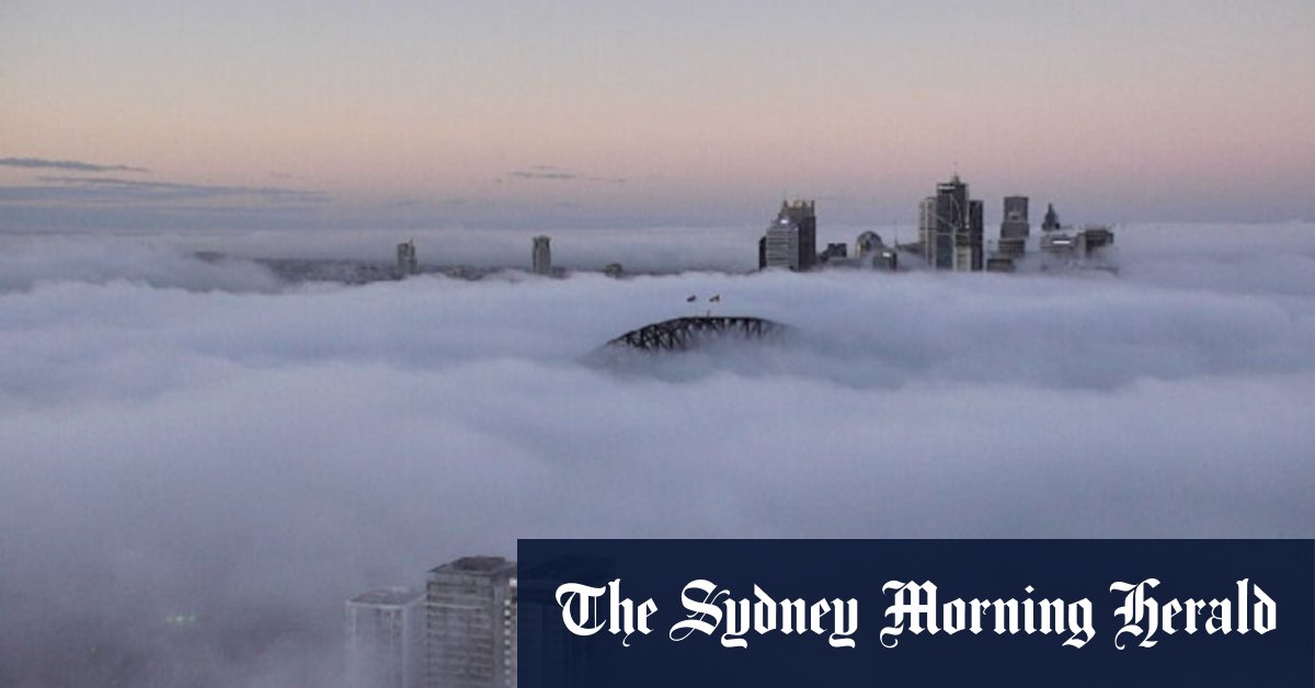 Sydney blanketed in thick fog, commuters disrupted