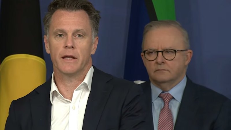 Premier tells committee he set compensation level for NSW gun buyback