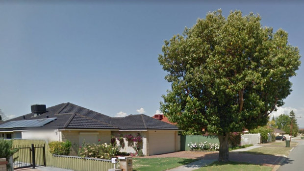 The City of Canning has refused to cut down this verge tree after the elderly couple who live at the property claimed it was becoming a nuisance.