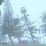 Extreme weather in Townsville on February 1, 2025.