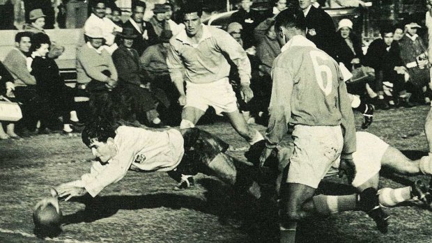 Talent: Laurie Lawrence scores a try for Australia during a Wallabies tour of New Zealand in 1964. 