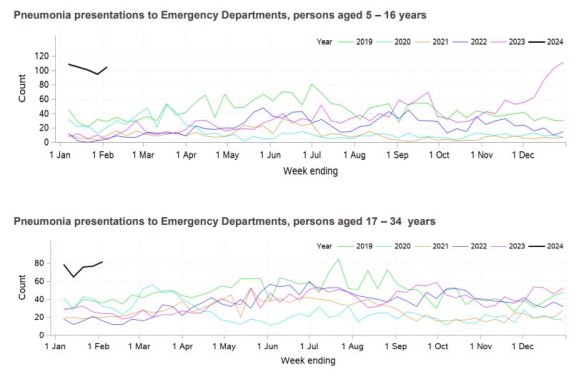 The number of children with pneumonia who presented to emergency departments in NSW shot up in December. 