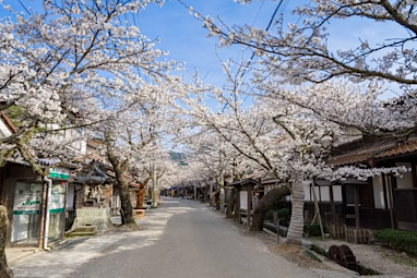 Shinjo Village