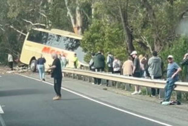 Footage shared to Facebook shows the bus teetering off an embankment after it crashed through traffic barriers on the highway.
