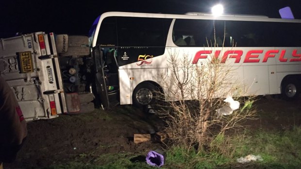 A bus driver is dead after a coach crashed into truck trailers on the Western Highway