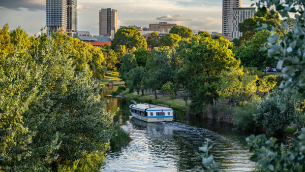 Set off on a serene cruise along the River Torrens with Popeye River Cruise.