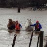 Severe weather warning for Sydney as rising floodwaters trigger South Coast evacuations