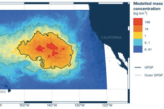The Great Pacific Garbage Patch. 