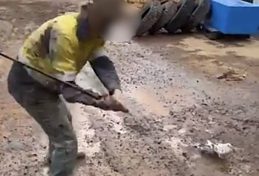 A man was fined after he bashed a pigeon with a golf club in a video that was uploaded to SnapChat.