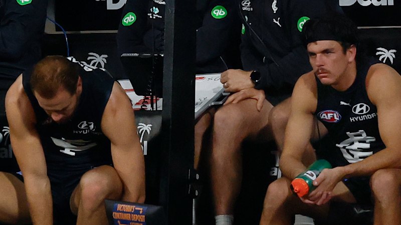 ‘Hung out to dry’: AFL club psychologist speaks out on Hollands