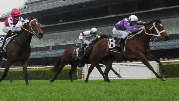 Dressed for success: Catwalk breaks through in her second start at Randwick on Saturday. 