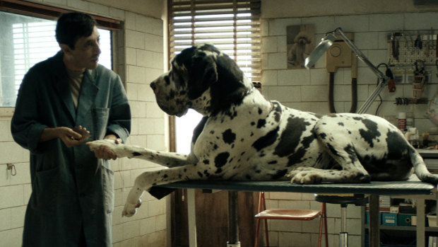 Marcello Fonte as the protagonist in Dogman.