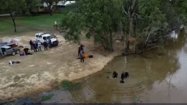 Police divers scour the dam behind the homestead in far north Queensland