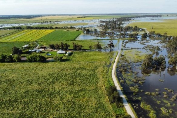 Flooded farmland near Kerang