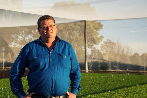 Managing director of Riviera Farms Nelson Cox.