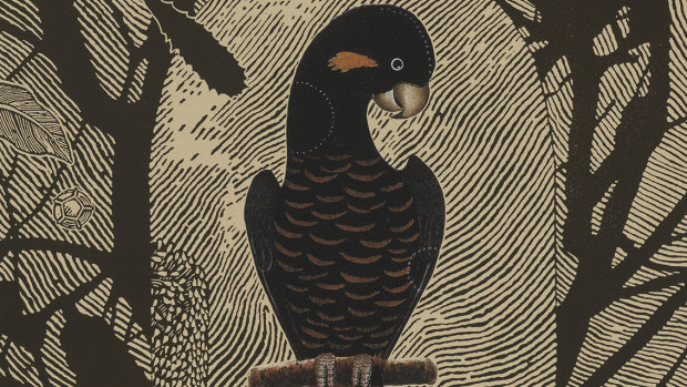 Family: Psittaciade (parrots), 2017, by Jenny Kitchener. Print (linocut and collage on paper), detail.