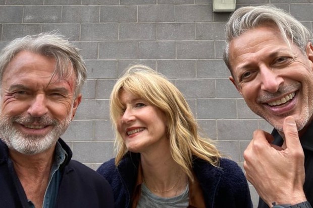 Laura Dern, Billy Bob Thornton, relationship, what happened