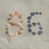 The image from an Instagram post below which Comey wrote “cool shell formation on my beach walk”.