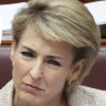 Acting industrial relations minister Michaelia Cash only changed the rules for casual employment with the support of Centre Alliance senator Stirling Griff.