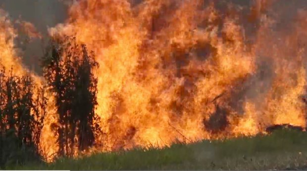 Fire and Rescue received 100,000 triple zero calls during the bushfire season. 