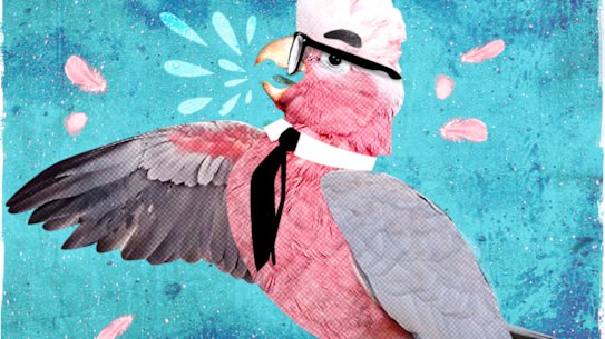 Illustration: Dionne Gain