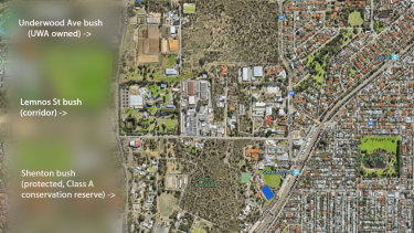 Housing To Swallow Yet Another Of Perth S Threatened Banksia Woodlands