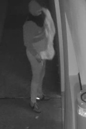 Police are hoping witnesses can help identify suspected vandals on Virginia Street toward James Ruse Drive, Rosehill, between 1 and 2 a.m. on Friday, May 5.