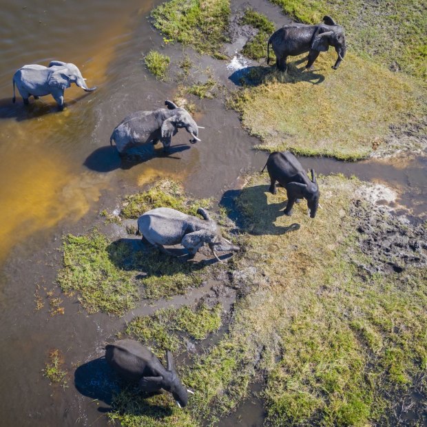 You can experience Botswana’s spectacular Okavango Delta in sustainable luxury.