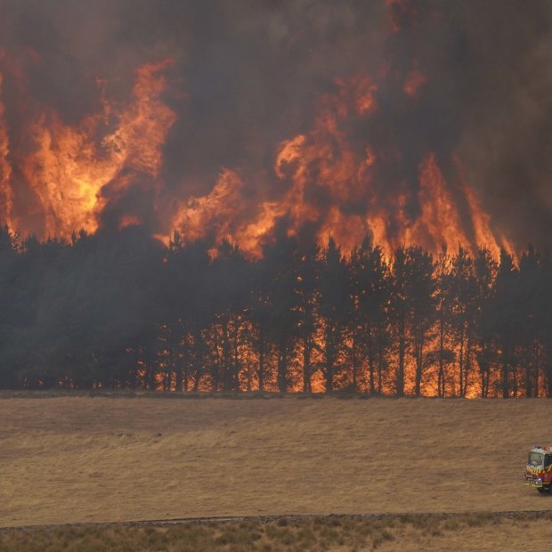 The alpine region across the NSW-Victoria border has been hit by vast bushfires, such as here near Tooma, NSW, in January.