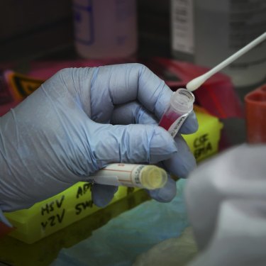 A coronavirus testing lab, Prince of Wales Hospital, Randwick, Sydney. 