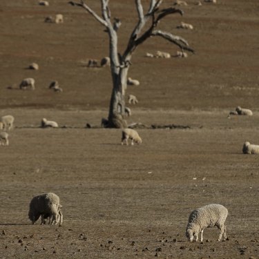 Changing weather conditions will change the way we farm, suggests Dr Michael Robertson.
