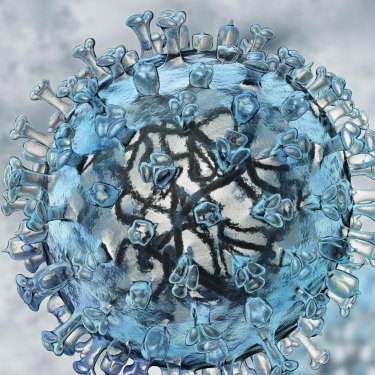 A model of a flu virus.
