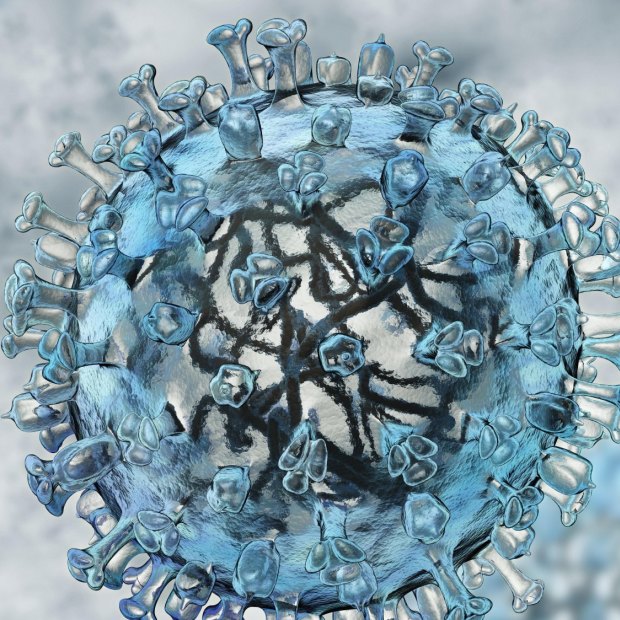 common cold virus