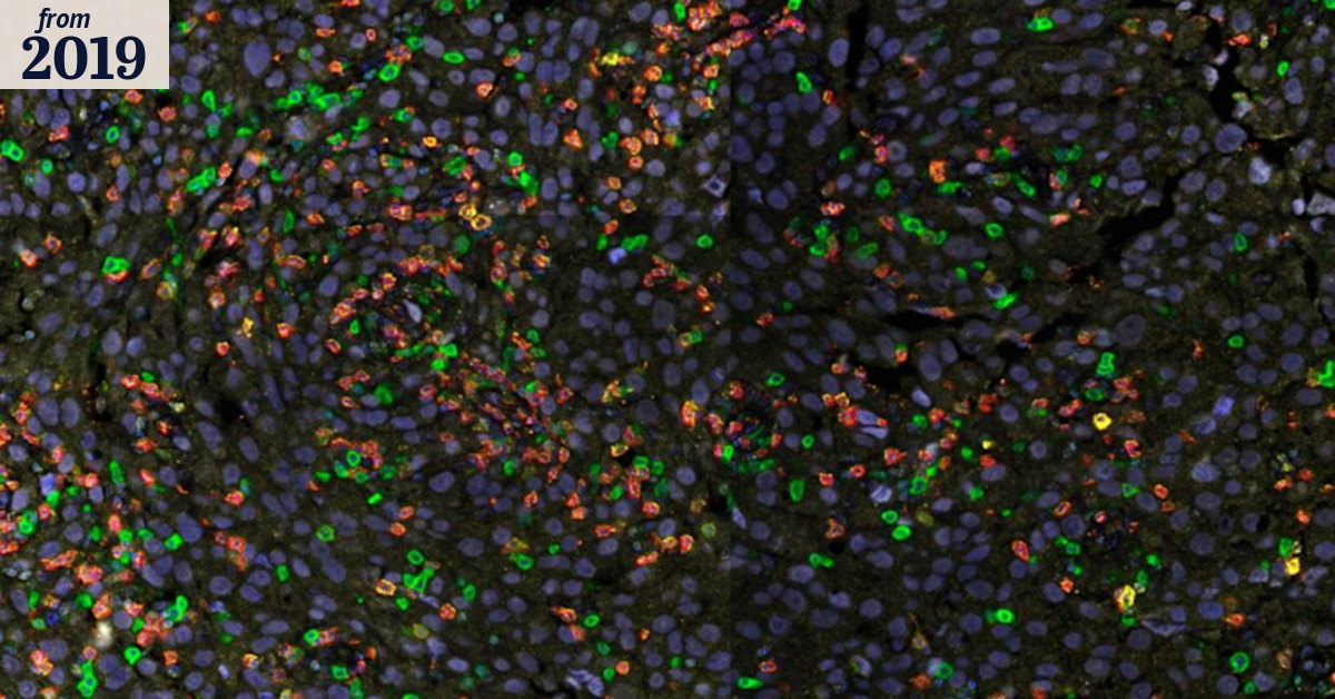 New front opens up in the battle against cancer