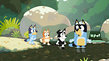 The Creek episode (pictured) switches out the fictional “drop bears”  for an old Arnhem Land legend of Ŋamini Baŋ’baŋ.