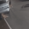 CCTV captures Perth mum’s horror accident in Morley laneway