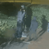 CCTV footage of three people trying to remove the head from a statue of Captain Cook in Fitzroy Gardens.