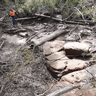 Once healthy creeks in the Sydney catchment have become dead zones. Now scientists know why