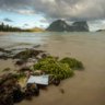 More than a thousand disposable face masks wash up on Lord Howe Island