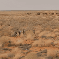 The new Kata Tjuta to Uluru walk in the Northern Territory.