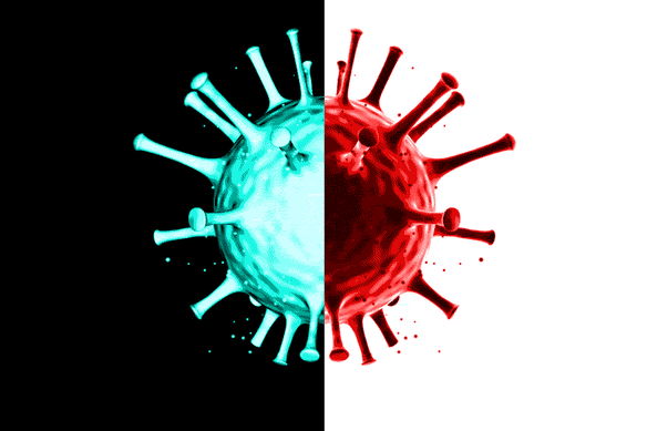 Any attempts to create “mirror life” should be stopped, according to the scientists who were working on the technology.