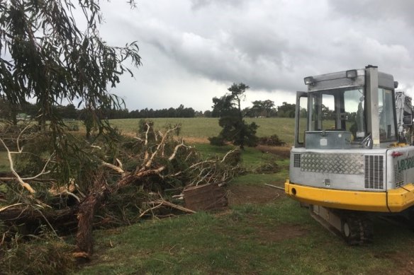 Trees were uprooted at Meadow Flat. 