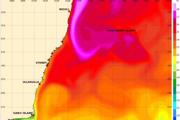 Warm ocean water off Sydney – and sea surface temperatures in the high 20s off the north coast of the state, shown in pink – have contributed to record-breaking humidity.
