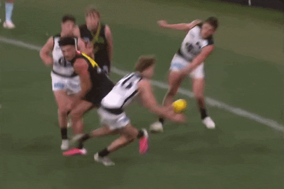 Os replays mostraram que Nick Haynes, do Carlton, havia chutado a bola para fora do jogo.