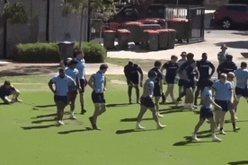 Waratahs players in a fight at training.