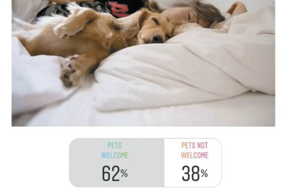 After Frank Robson’s August 1 column on sleeping with pets,
@goodweekendmag polled its Instagram followers on whether they allow their dogs and cats to 
sleep with them.