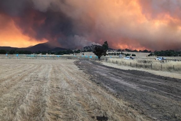 'She couldn't stop crying': Town in shock as bushfire trauma sinks in