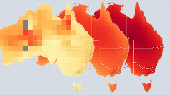 Researchers believe increasingly warmer temperatures are contributing to surging liver cancer rates.