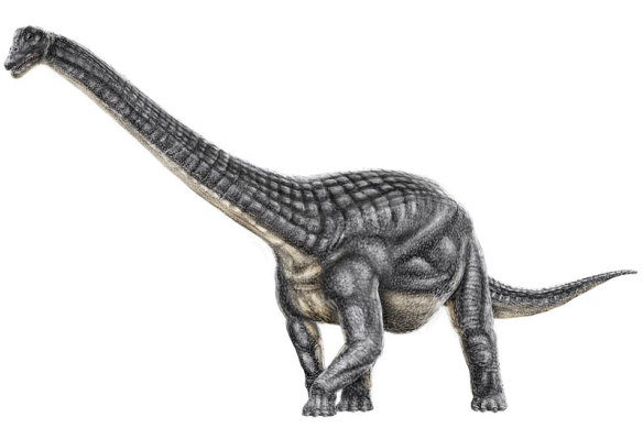 In addition to its size, Diamantinasaurus seems to have dominated in numbers in the ancient Queensland outback.