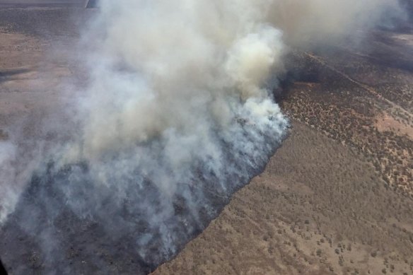The Walgett fire has burnt through more than 21,000 hectares since it began on Monday.